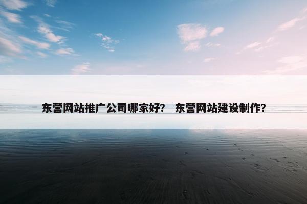 东营网站推广公司哪家好？ 东营网站建设制作？