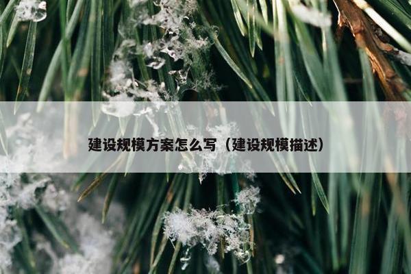 建设规模方案怎么写（建设规模描述）
