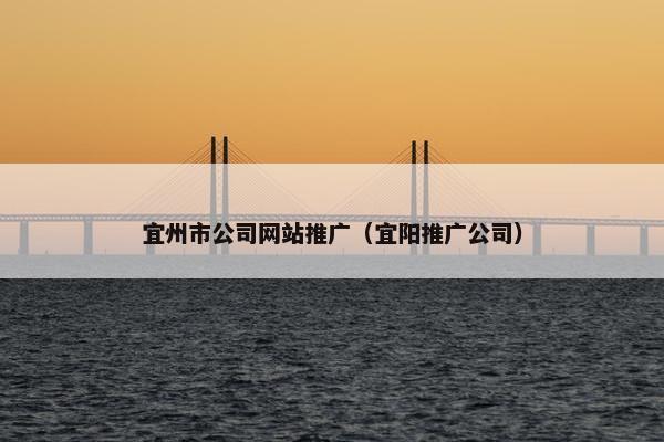 宜州市公司网站推广（宜阳推广公司）