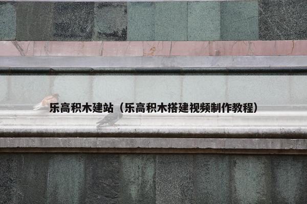 乐高积木建站（乐高积木搭建视频制作教程）