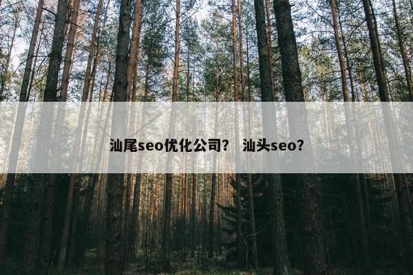 汕尾seo优化公司？ 汕头seo？