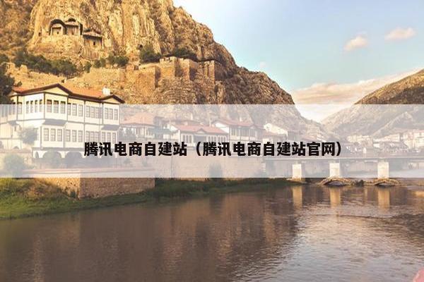 腾讯电商自建站（腾讯电商自建站官网）