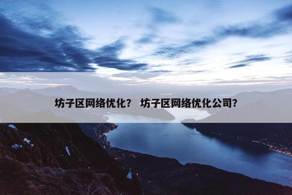 坊子区网络优化？ 坊子区网络优化公司？