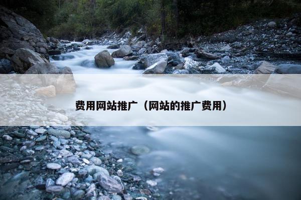 费用网站推广（网站的推广费用）