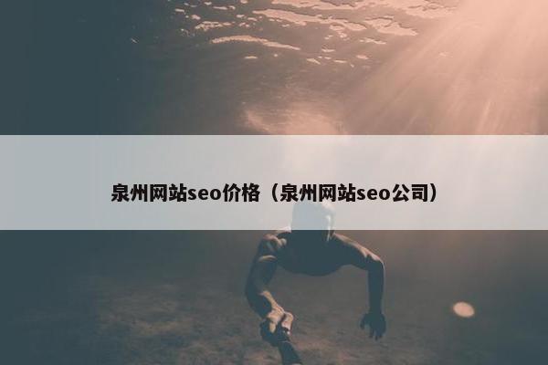 泉州网站seo价格（泉州网站seo公司）