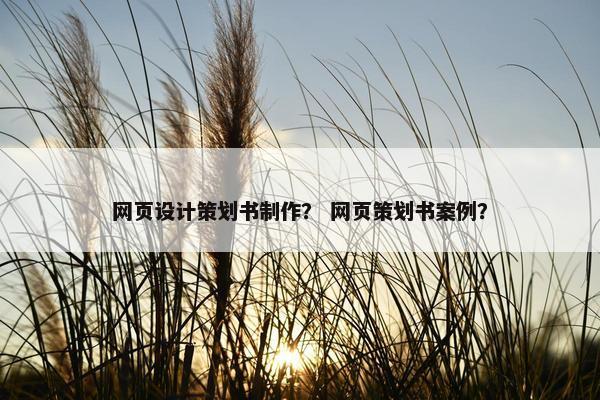 网页设计策划书制作？ 网页策划书案例？