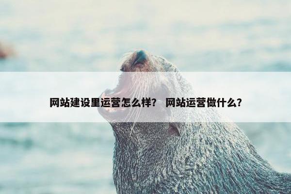 网站建设里运营怎么样？ 网站运营做什么？