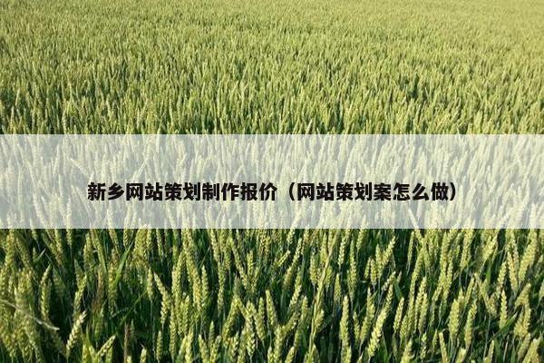新乡网站策划制作报价（网站策划案怎么做）