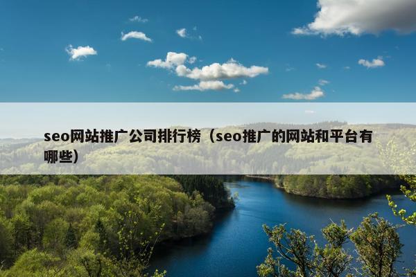 seo网站推广公司排行榜（seo推广的网站和平台有哪些）