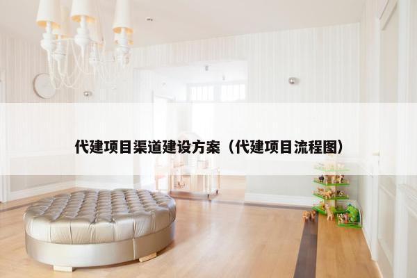 代建项目渠道建设方案（代建项目流程图）