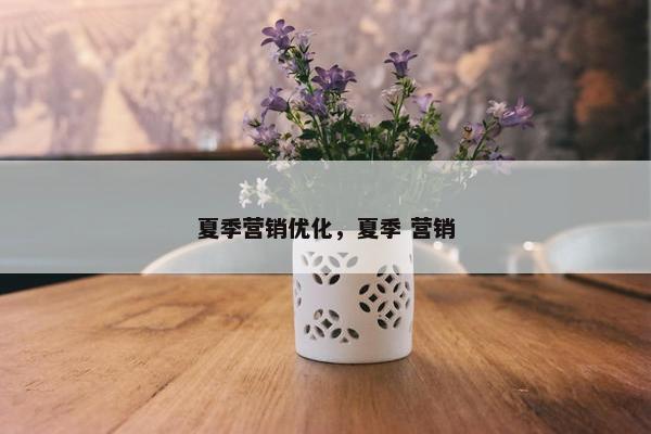 夏季营销优化，夏季 营销