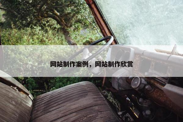 网站制作案例，网站制作欣赏