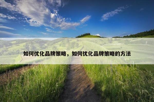 如何优化品牌策略，如何优化品牌策略的方法