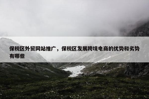 保税区外贸网站推广，保税区发展跨境电商的优势和劣势有哪些