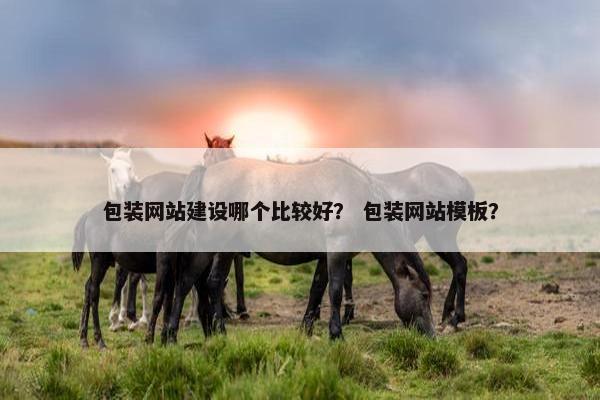 包装网站建设哪个比较好？ 包装网站模板？