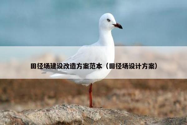 田径场建设改造方案范本（田径场设计方案）