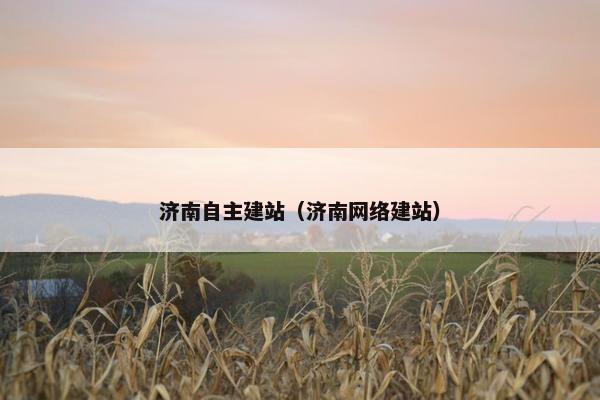 济南自主建站（济南网络建站）