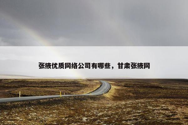 张掖优质网络公司有哪些，甘肃张掖网