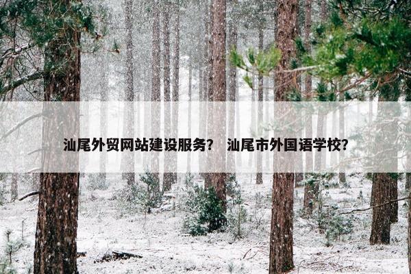 汕尾外贸网站建设服务？ 汕尾市外国语学校？