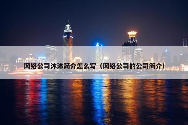 网络公司沐沐简介怎么写（网络公司的公司简介）