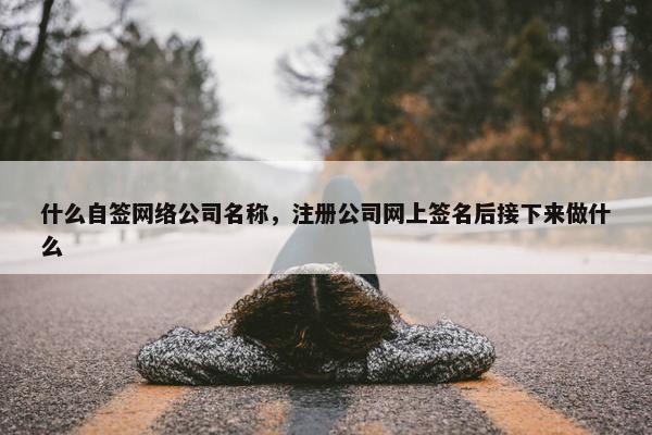 什么自签网络公司名称，注册公司网上签名后接下来做什么