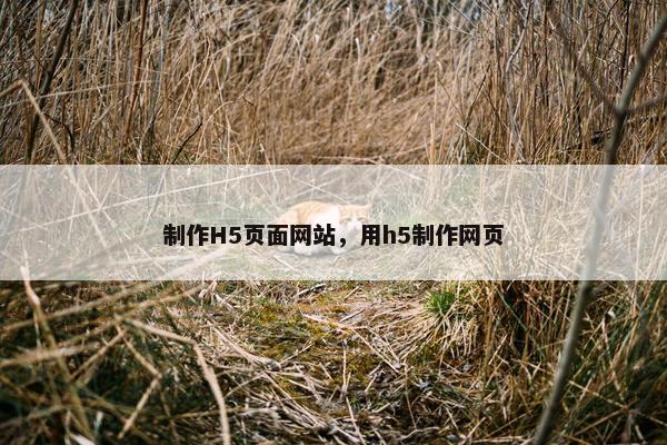 制作H5页面网站，用h5制作网页