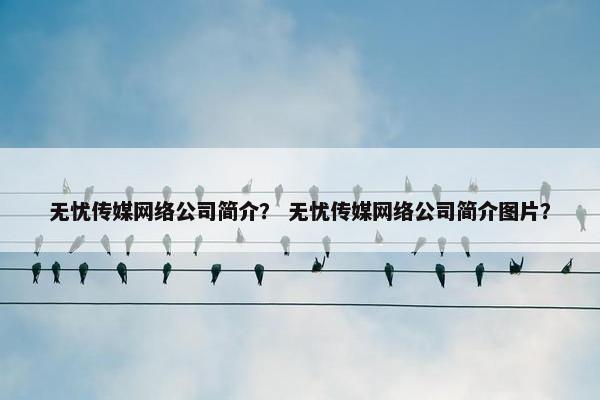 无忧传媒网络公司简介？ 无忧传媒网络公司简介图片？