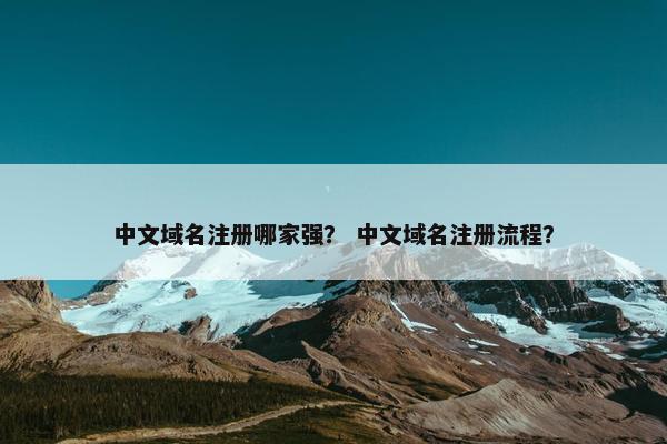 中文域名注册哪家强？ 中文域名注册流程？