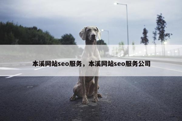 本溪网站seo服务，本溪网站seo服务公司