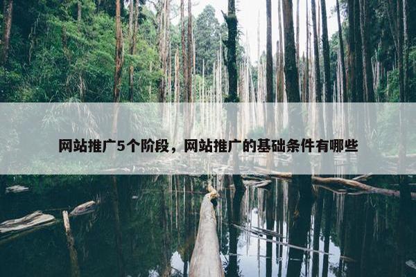 网站推广5个阶段，网站推广的基础条件有哪些