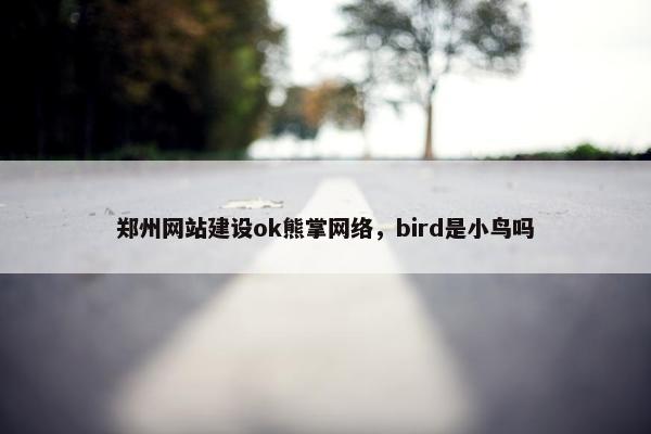 郑州网站建设ok熊掌网络，bird是小鸟吗