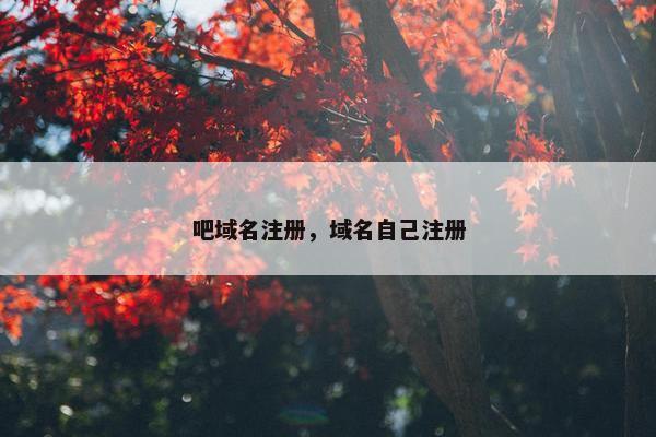 吧域名注册，域名自己注册