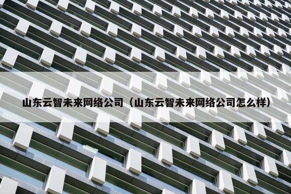 山东云智未来网络公司（山东云智未来网络公司怎么样）