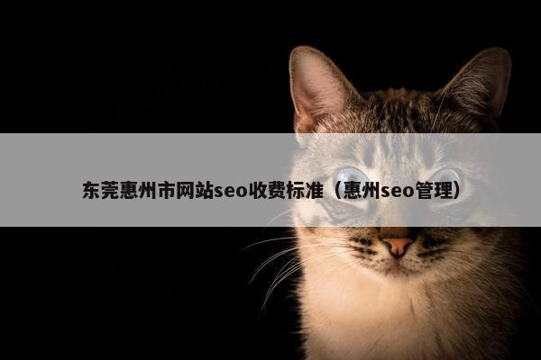 东莞惠州市网站seo收费标准（惠州seo管理）