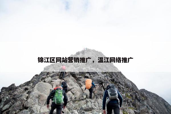 锦江区网站营销推广，温江网络推广