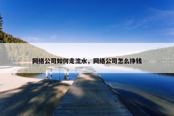 网络公司如何走流水，网络公司怎么挣钱