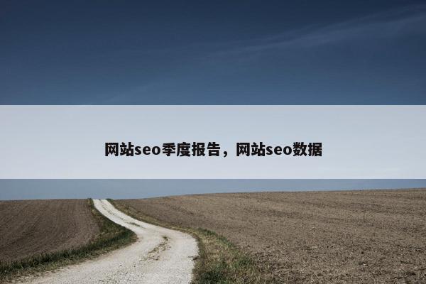 网站seo季度报告，网站seo数据
