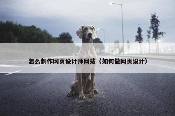 怎么制作网页设计师网站（如何做网页设计）