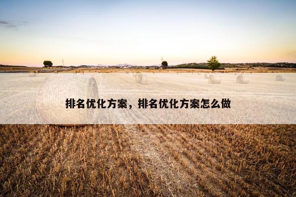 排名优化方案，排名优化方案怎么做