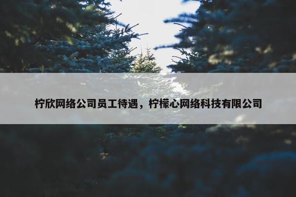 柠欣网络公司员工待遇，柠檬心网络科技有限公司