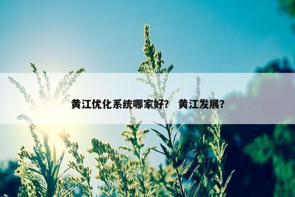 黄江优化系统哪家好？ 黄江发展？