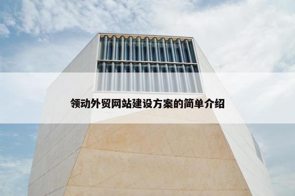 领动外贸网站建设方案的简单介绍