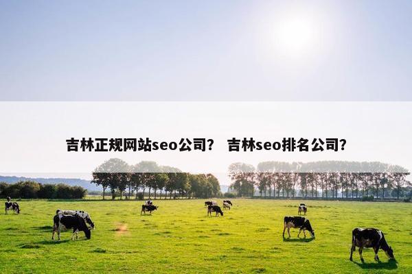 吉林正规网站seo公司？ 吉林seo排名公司？