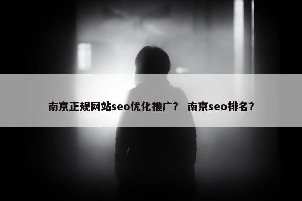南京正规网站seo优化推广？ 南京seo排名？
