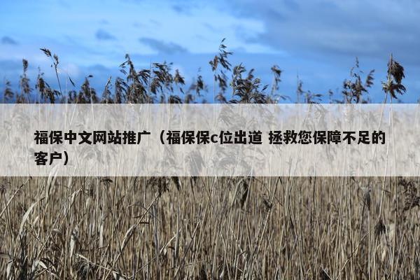 福保中文网站推广（福保保c位出道 拯救您保障不足的客户）