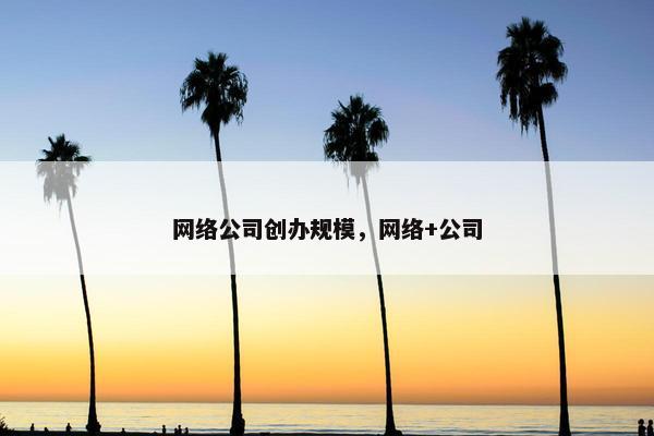 网络公司创办规模，网络+公司