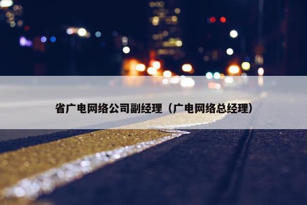 省广电网络公司副经理（广电网络总经理）