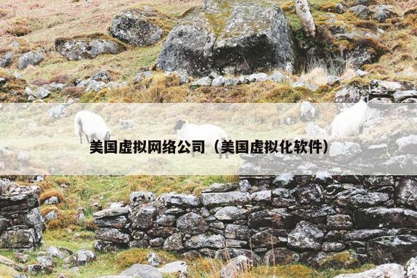 美国虚拟网络公司（美国虚拟化软件）