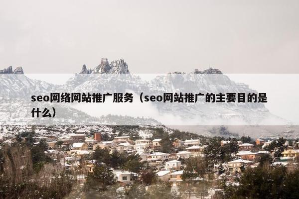seo网络网站推广服务（seo网站推广的主要目的是什么）