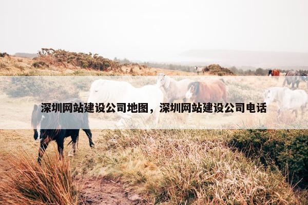 深圳网站建设公司地图，深圳网站建设公司电话